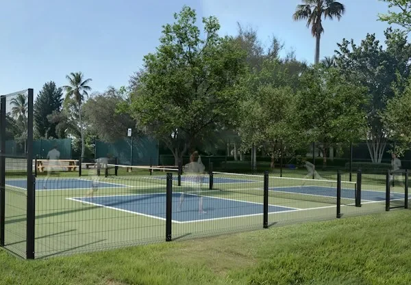 mua dung cu pickleball online loi ich va nhung ieu can luu y
